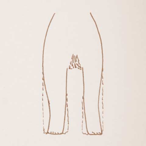 Korekta kończyn przednich Airdale terriera