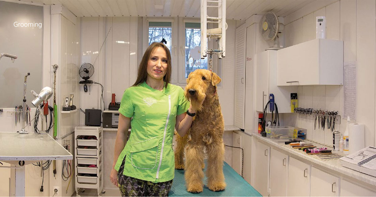 Eliza Tomczak w Salonie kosmetycznym dla psów